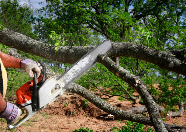 Best Soil Testing and Treatment  in Garden Ridge, TX